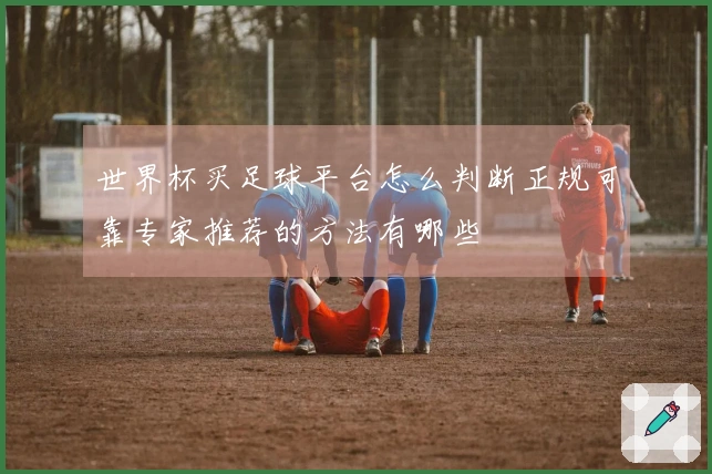 世界杯买足球平台怎么判断正规可靠专家推荐的方法有哪些