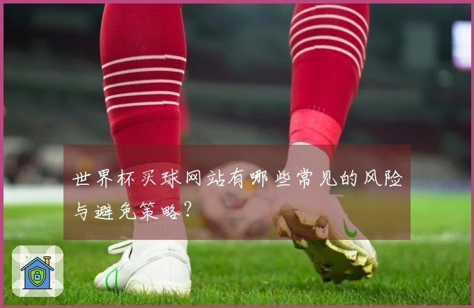 世界杯买球网站有哪些常见的风险与避免策略？