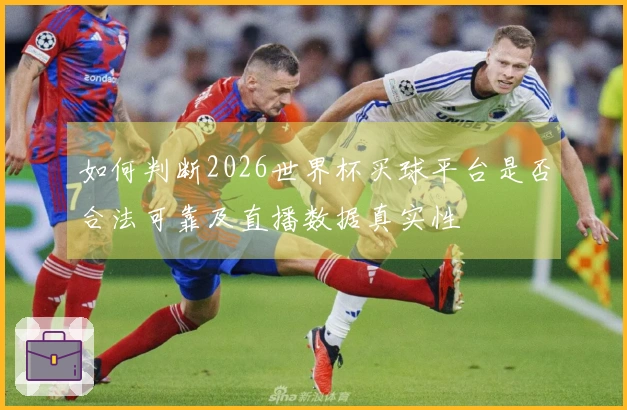 如何判断2026世界杯买球平台是否合法可靠及直播数据真实性