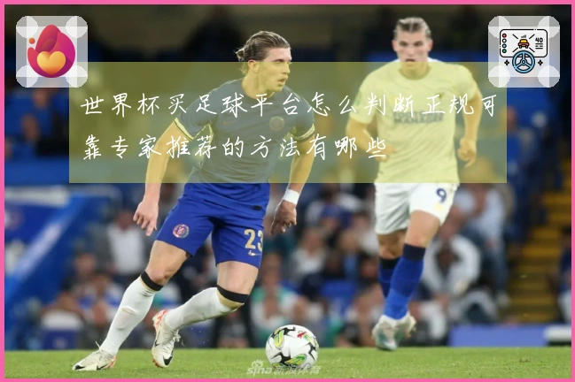 世界杯买足球平台怎么判断正规可靠专家推荐的方法有哪些