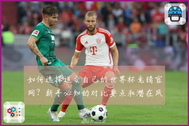 如何选择适合自己的世界杯竞猜官网？新手必知的对比要点和潜在风险分析