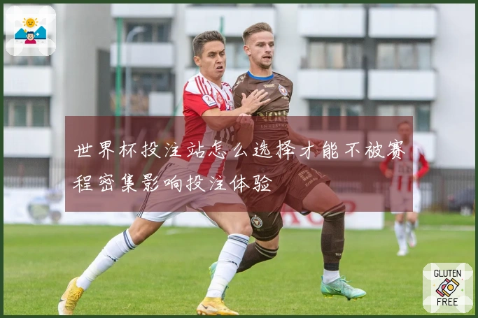 世界杯投注站怎么选择才能不被赛程密集影响投注体验